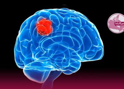 درمان تازه سرطان با فریب سلول های مغزی