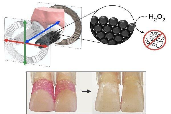 ساخت میکروربات برای مسواک زدن و نخ دندان کشیدن